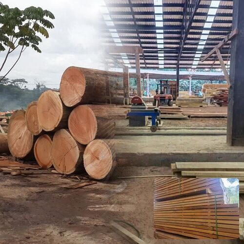 Timber & Wood Resources