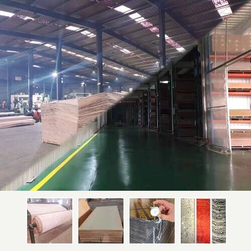 Veneer & Plywood